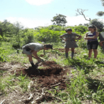 Grupo de escoteiros Jaguary