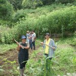 Trabalhadores do campo empunhando ferramentas