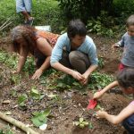 Programa agroecologia e sociobiodiversidade