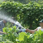 8ª Aula do Programa Agroecologia e Sociobiodiversidade