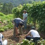 8ª Aula do Programa Agroecologia e Sociobiodiversidade