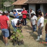 Projeto Novo Modelo
