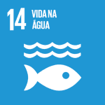 Conservar e usar de forma sustentável os oceanos, mares e os recursos marinhos para o desenvolvimento sustentável