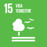 Proteger, restaurar e promover o uso sustentável dos ecossistemas terrestres, gerir de forma sustentável as florestas, combater a desertificação, travar e reverter a degradação dos solos e travar a perda da biodiversidade