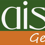 Logo Mais Gestão