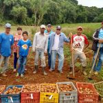 Agricultores e sua produção no campo