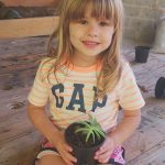 Plantinha da Luana