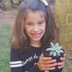 Plantinha da Marina