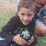 Plantinha do Lucas