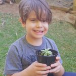Plantinha do Rafael