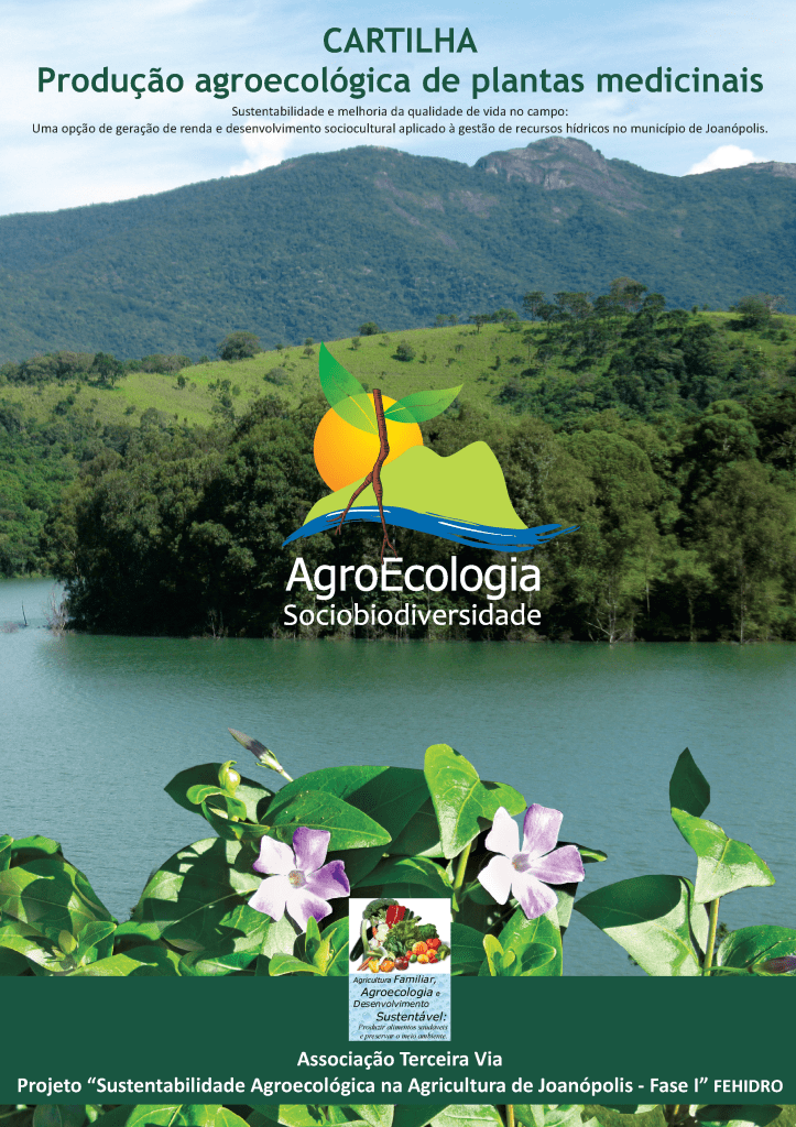 Produção agroecológica de plantas medicinais