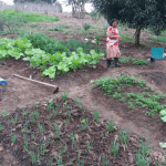 CAR para Agricultores Familiares